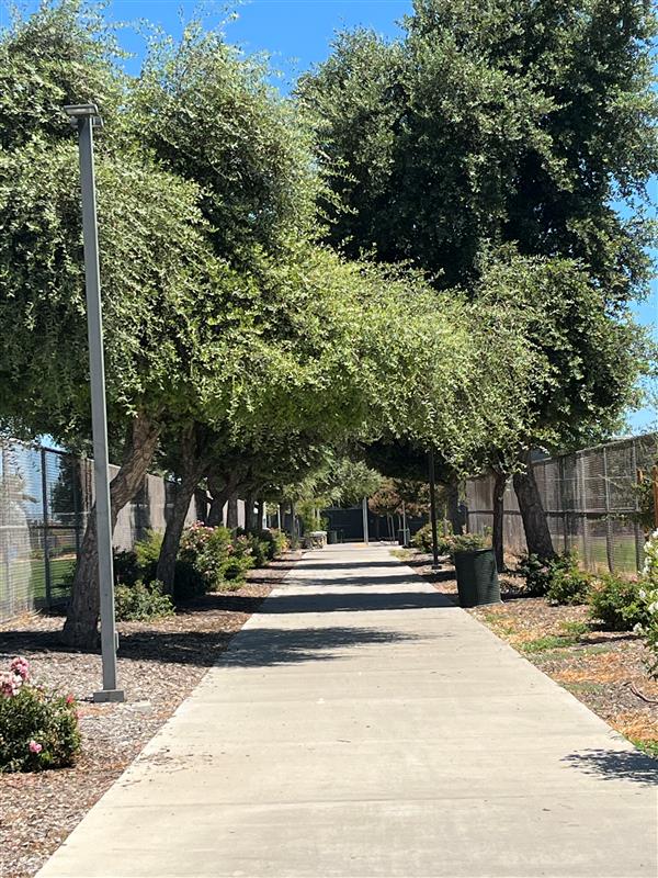 a sidewalk pathway underneath some trees with sports fields on the left and right