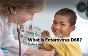Enterovirus D68 Virus Image
